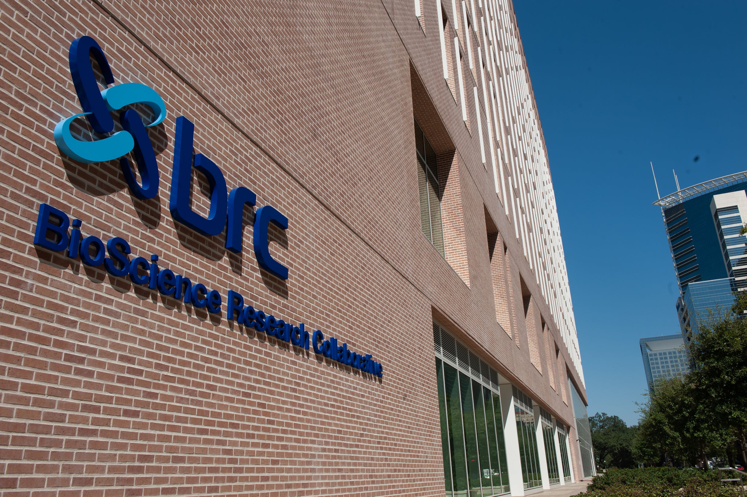 BioScience Research Collaborative photo